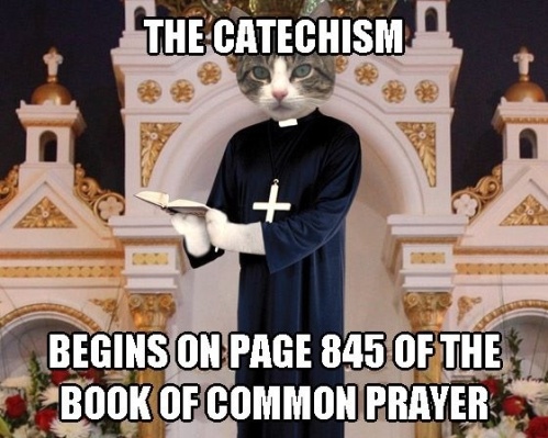 The Catechism